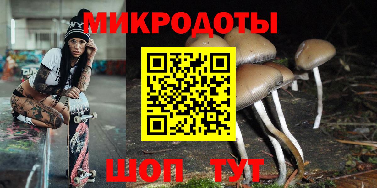 Псилоцибиновые грибы Psilocybe  Галлюциногенные грибы прущие грибы  Вход с VPN  Гусиноозёрск 