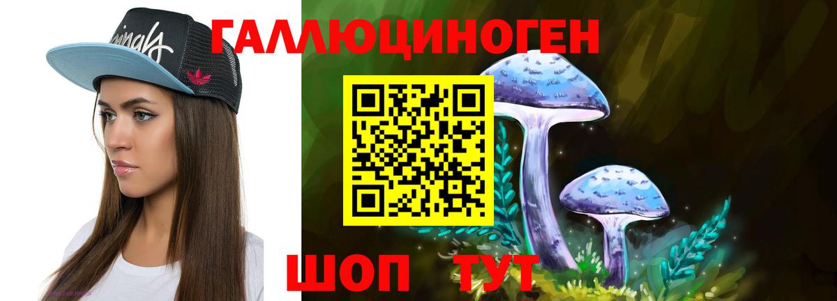 Псилоцибиновые грибы Psilocybe Гусиноозёрск
